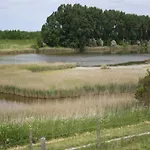 Holiday Home In Scherpenisse With Infrared Sauna